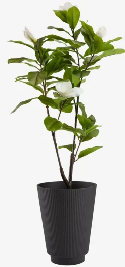 SANDLOBac à fleurs SANDLO Ø30xH38 noir-JYSK Online