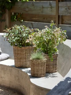 SANSEBIEPanier pour plantes SANSEBIE Ø40/33/25 kubu naturel 3pcs/lot-JYSK Discount