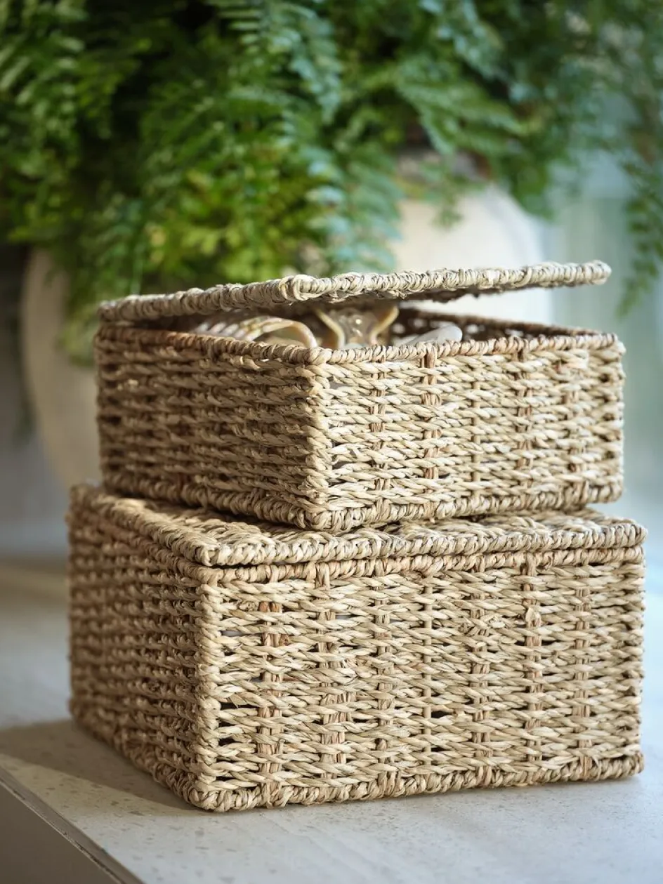 SENNANBoîte de rangement SENNAN a/couvercle herbier marin 2 pcs.-JYSK New