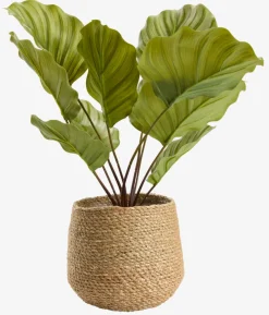 SEVERINCache-pot SEVERIN Ø20xH17cm naturel-JYSK Clearance