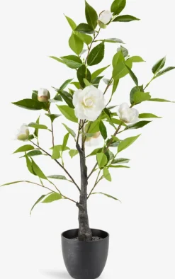 SOLOPGANGPlante artificielle SOLOPGANG H80 rose blanche-JYSK Hot