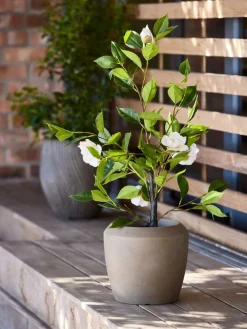 SOLOPGANGPlante artificielle SOLOPGANG H80 rose blanche-JYSK Hot