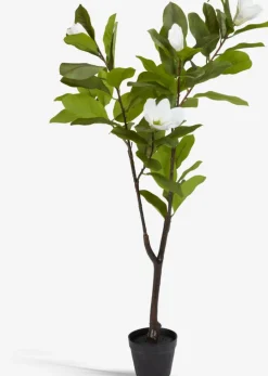 SPINDELPlante artificielle SPINDEL H120cm magnolia vert/blanc-JYSK Clearance