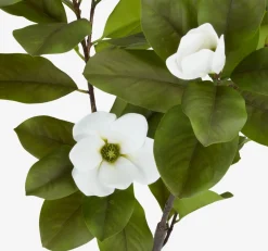SPINDELPlante artificielle SPINDEL H120cm magnolia vert/blanc-JYSK Clearance