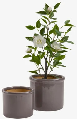 STORKBac à fleurs STORK Ø28/24 raisin poudré 2pcs/lot-JYSK Discount