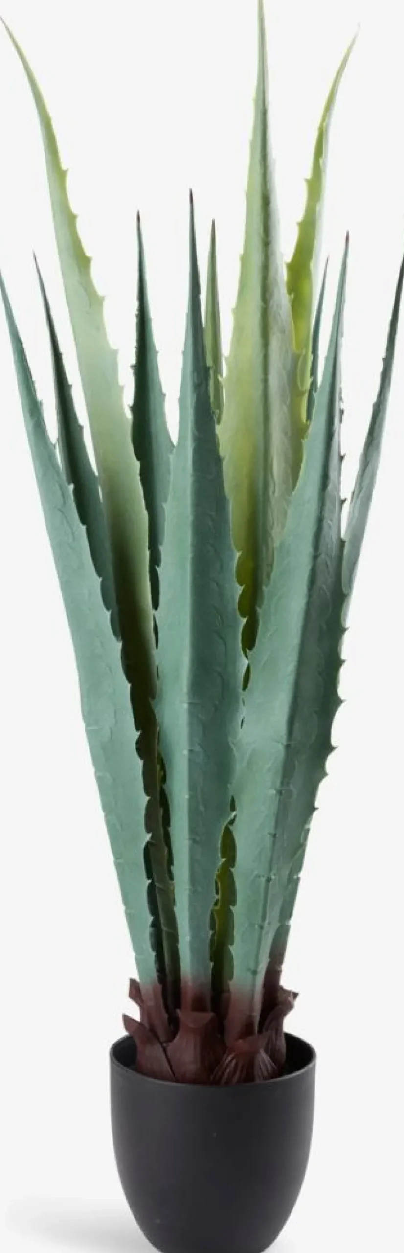 TOPPMEISPlante artificielle TOPPMEIS H105cm agave verte-JYSK Outlet